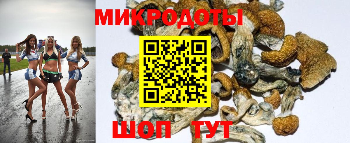 Галлюциногенные грибы мицелий Благовещенск