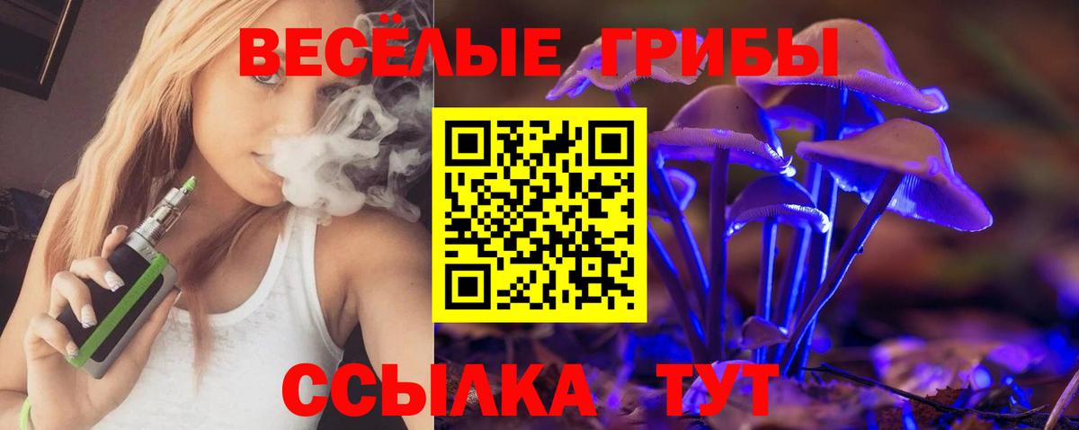 Благовещенск  Псилоцибиновые грибы Psilocybe  Вход с VPN 
